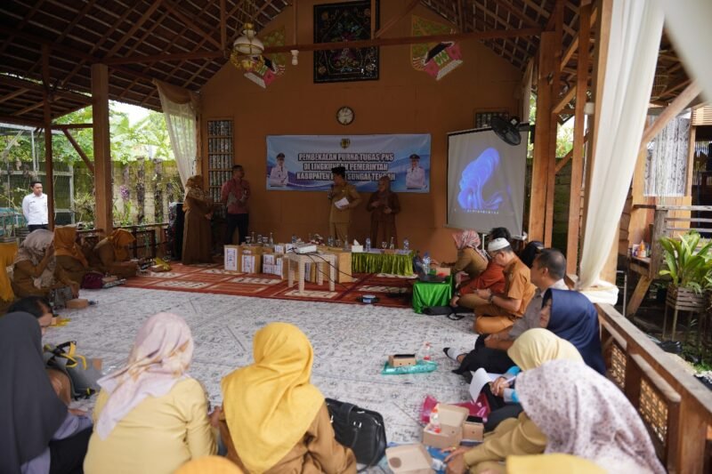 IMG 20241203 WA0049 e1733228152652