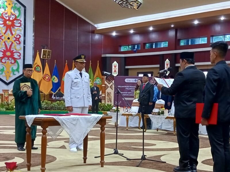 IMG 20241211 WA0048 e1733918412594