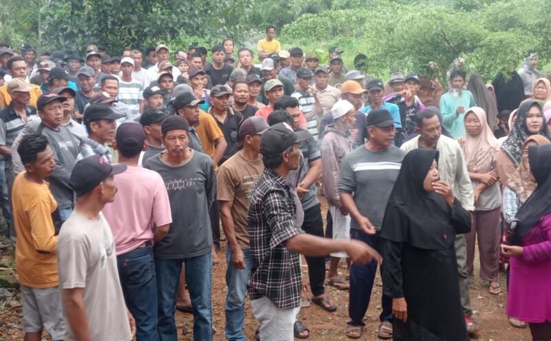 IMG 20241214 WA0030 e1734169333437