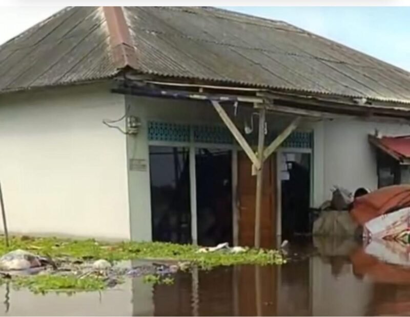 IMG 20241215 WA0060 e1734264618144