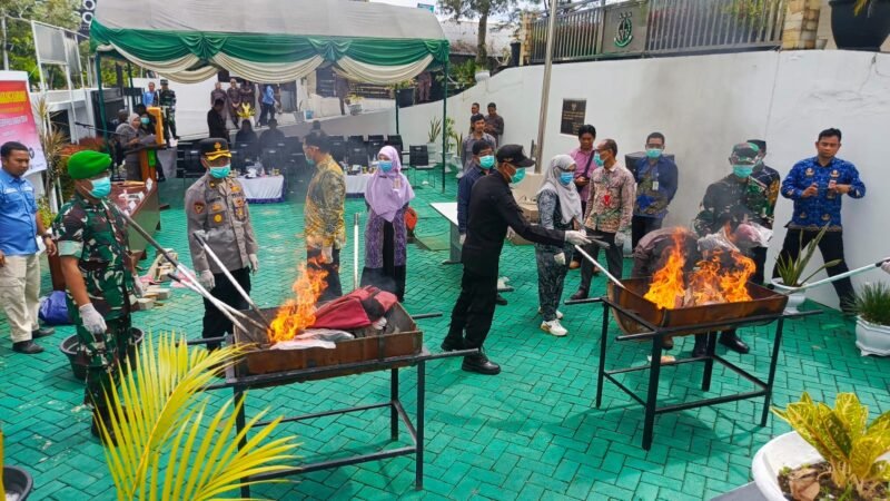 IMG 20241219 WA0044 e1734607356245