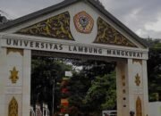 Apakah Penurunan Klaster ULM Mencerminkan Kinerja Riset yang Menurun? 10 Apakah Penurunan Klaster ULM Mencerminkan Kinerja Riset yang Menurun?