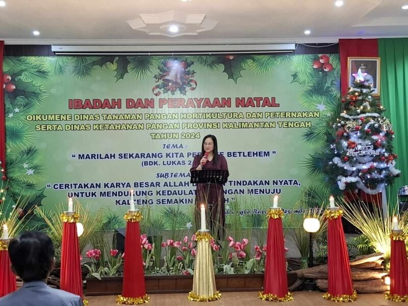 IMG 20241226 WA0017 e1735211260970