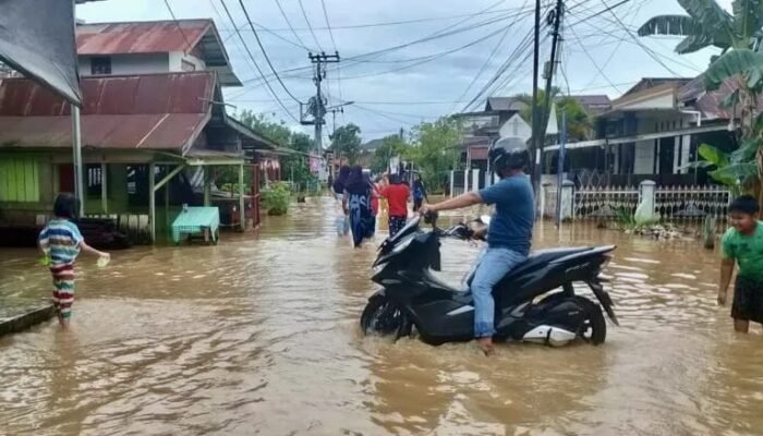 Banjir Landa Tiga Kecamatan di Kabupaten Hulu Sungai Tengah, 6.340 Jiwa Terdampak