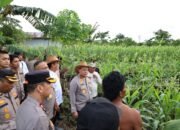 Kapolda Kalsel Tinjau Program Ketahanan Pangan Dukung Asta Cita Presiden 28 Kapolda Kalsel Tinjau Program Ketahanan Pangan Dukung Asta Cita Presiden