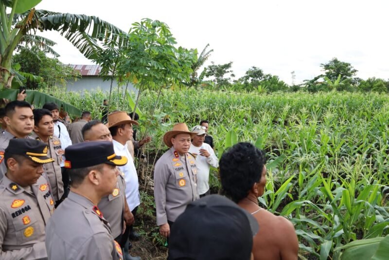 IMG 20241231 WA0003 1 e1735609795216