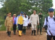 Mentan Tinjau Program Cetak Sawah Rakyat di Bati-bati Tanah Laut