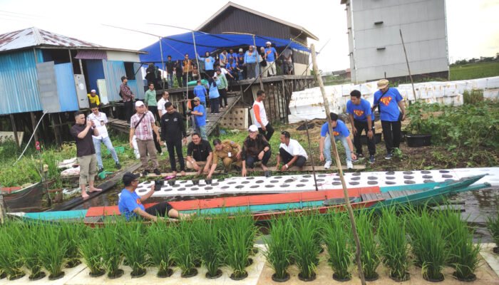 Kolaborasi OJK – Bank Kalsel Kembangkan Program Padi Apung di HSS