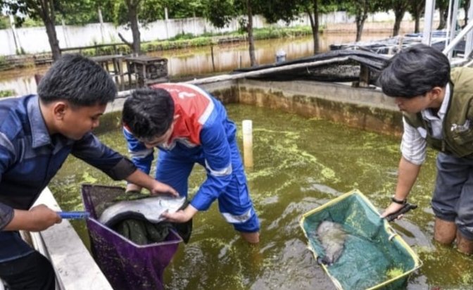 Digitalisasi Agromaritim untuk Sumber Pangan Berkelanjutan Indonesia 1 IMG 20241213 155211