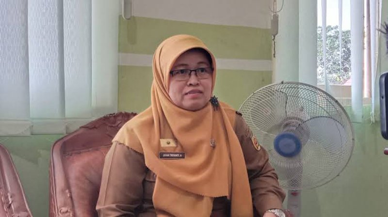 hAL 6 1 klM bjb 1 Kepala Dinas Kesehatan Kota Banjarbaru Dr. Juhai Triyanti Agustina