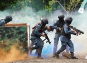 SPORC, Kunci Menangani Kejahatan Kerusakan Hutan