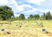 Arboretum At-Ta’if Adalah Kebun Botani