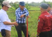 Dirjen Perikanan Budidaya KKP RI Tinjau Lokasi Rencana Pembangunan Tambak Udang Modern