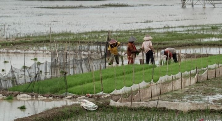 Pemanasan Global dan Inflasi 1 IMG 20250103 WA0028