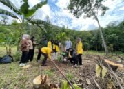 Mahasiswa Prodi Biologi ULM Tanam Sukun di Taman Biodiversitas Hutan Hujan Tropis Lembah Bukit Manjai 23 Mahasiswa Prodi Biologi ULM Tanam Sukun di Taman Biodiversitas Hutan Hujan Tropis Lembah Bukit Manjai