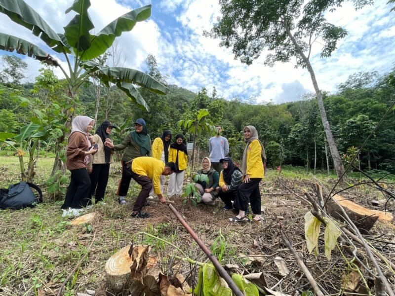 IMG 20250104 WA0012 e1735979240278