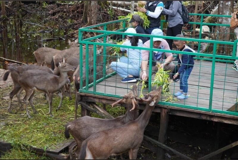 IMG 20250105 WA0034 e1736081686665