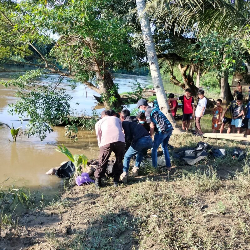 IMG 20250106 WA0037 e1736168113747