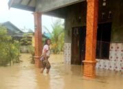 Banjir Landa Sejumlah Desa di Gunung Mas Kalteng
