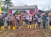 Wujudkan Swasembada Pangan, Polri dan Kementan RI Tanam Jagung Juta Hektare 8 Wujudkan Swasembada Pangan, Polri dan Kementan RI Tanam Jagung Juta Hektare