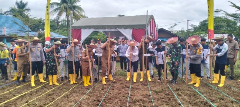 IMG 20250121 WA0018 e1737442428133