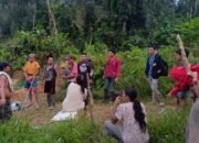Dua Korban Tanah Longsor di Gunung Mas, Kalteng Belum Ditemukan