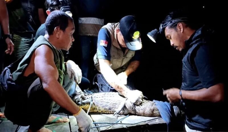 IMG 20250125 WA0045 e1737800776414