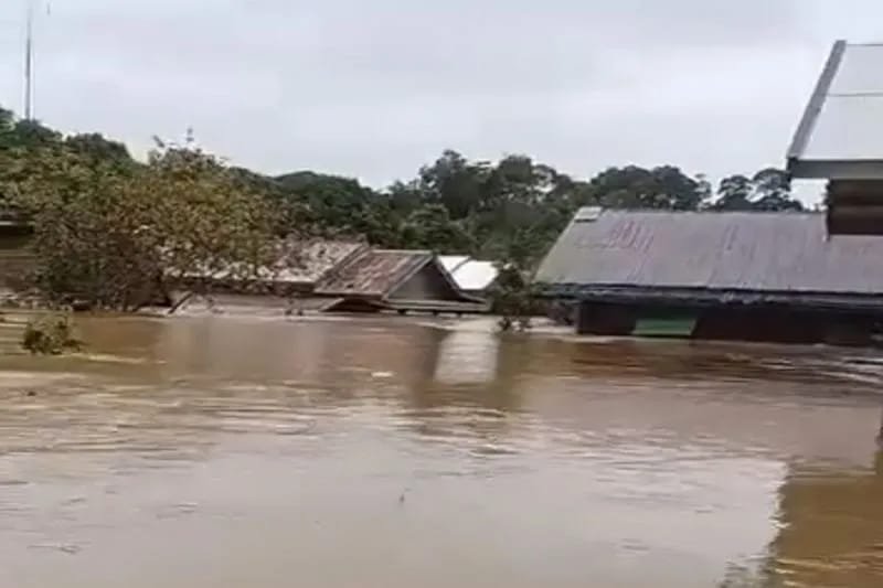 Puluhan Rumah dan Fasilitas Umum di Dusun Mamput Kapuas Tengah Terendam Banjir 1 IMG 20250126 WA0061