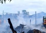 Sehari Tiga Kebakaran Terjadi di Kotawaringin Timur, Kalteng