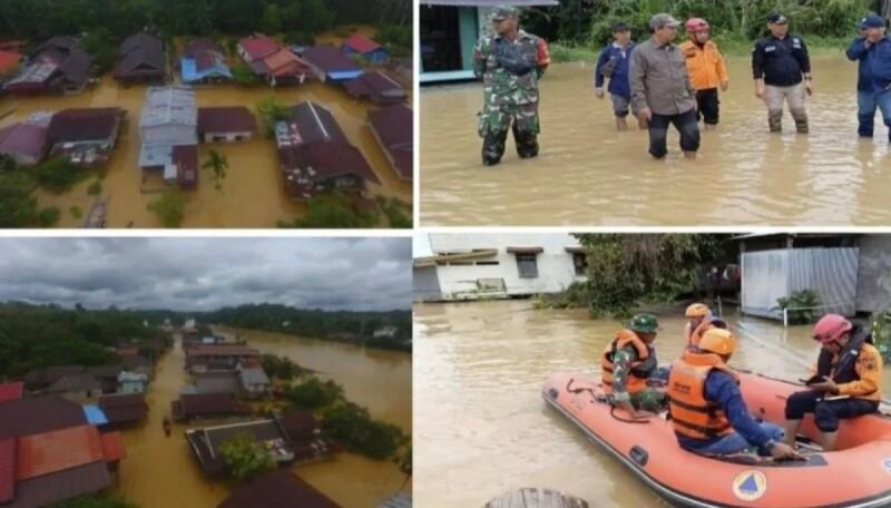 IMG 20250130 160915 e1738225269238