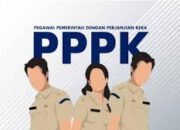 Formasi PPPK Guru Provinsi Sepi Peminat