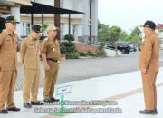 Wabup Tapin Pimpin Apel Perdana