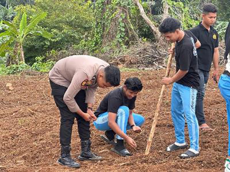 Hal 4 Kotabaru 4 klm 4