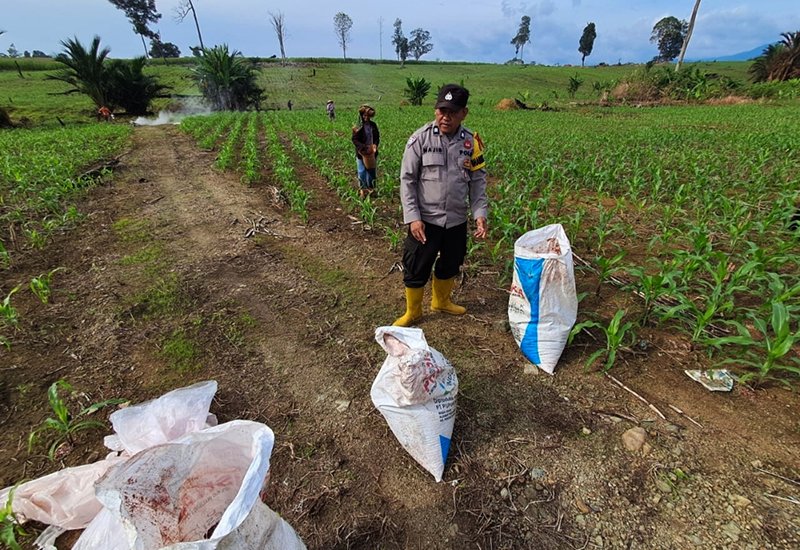 Hal 4 Kotabaru 4 klm 4