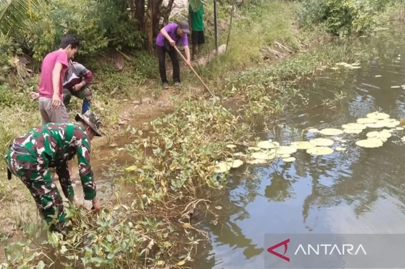 Hal 4 Kotabaru 4 klm