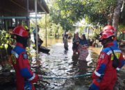 Damkar Amankan Cobra Ditengah Banjir 9 Damkar Amankan Cobra Ditengah Banjir