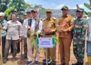 Wujudkan Swasembada Pangan, Tapin Dukung Program Penanaman Pohon Serentak 27 Wujudkan Swasembada Pangan, Tapin Dukung Program Penanaman Pohon Serentak