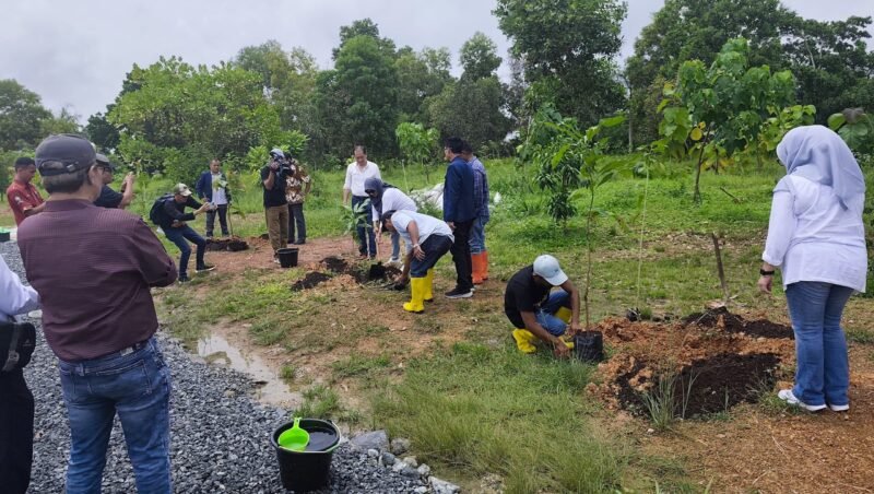 IMG 20250209 WA0012 1 scaled e1739073514478