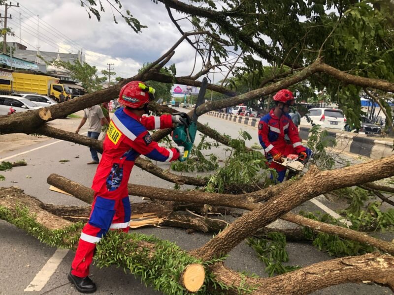 IMG 20250211 WA0048 e1739275287213