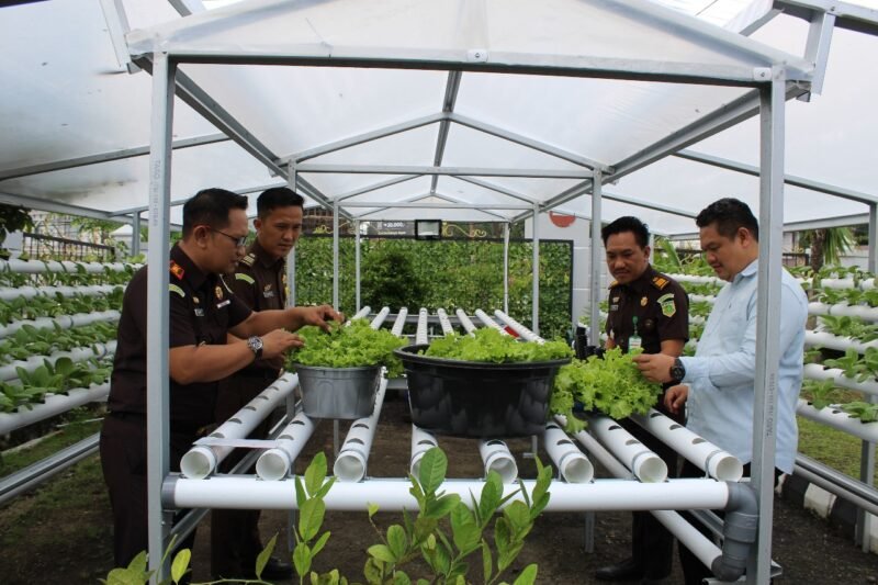 IMG 20250218 WA0035 e1739865864268