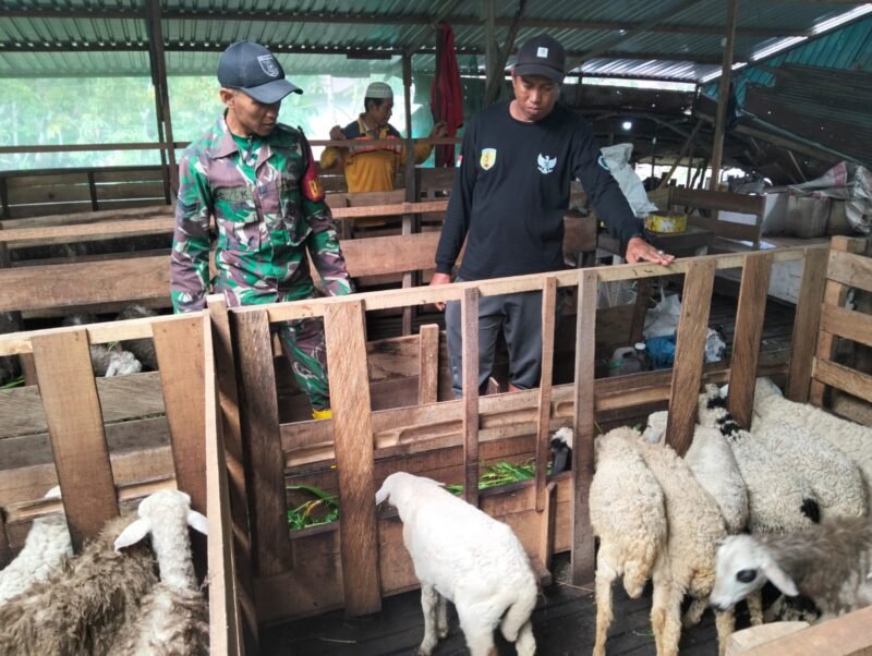 IMG 20250219 WA0024 e1739952065555