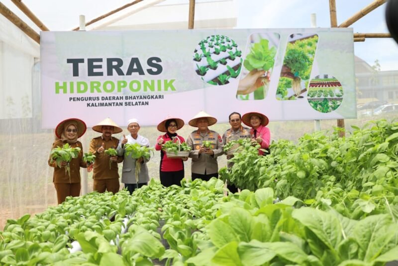 IMG 20250224 WA0066 e1740410140144