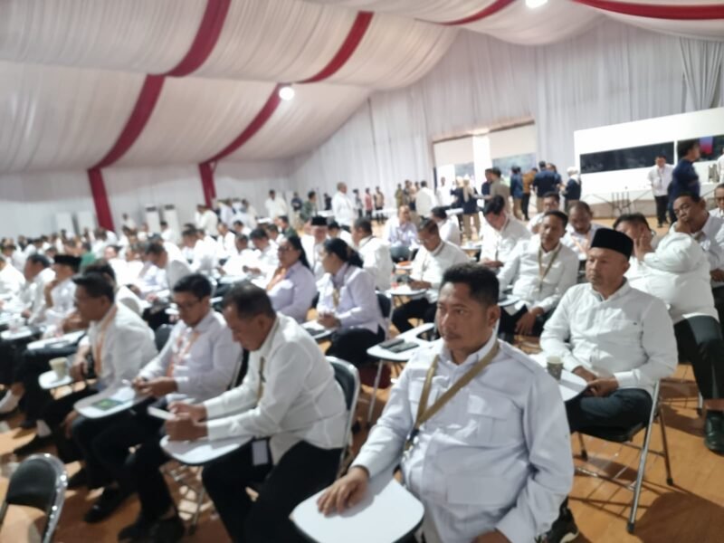 IMG 20250226 WA0031 e1740555328438