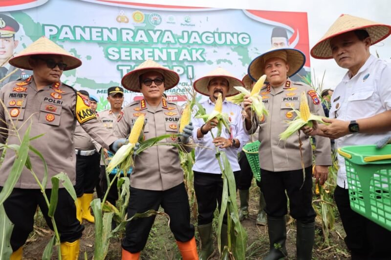 IMG 20250226 WA0070 e1740574350403