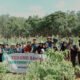 Hal 6 3 Klm Martapura Panen jagung