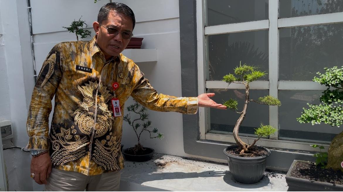 IMG 20250306 WA0025 1