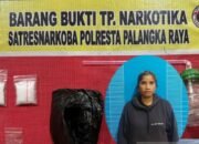 Diduga Edar Sabu di Palangka Raya, Seorang Wanita Diringkus Polisi