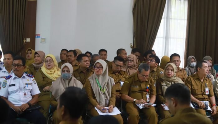 IMG 20250313 WA0033 1