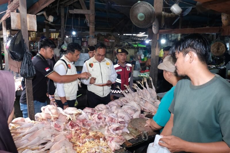 IMG 20250317 WA0037 scaled e1742211807827