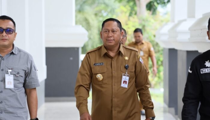 Mentan RI Sebut Batola Jadi Prioritas Utama  Peningkatan Produksi Padi